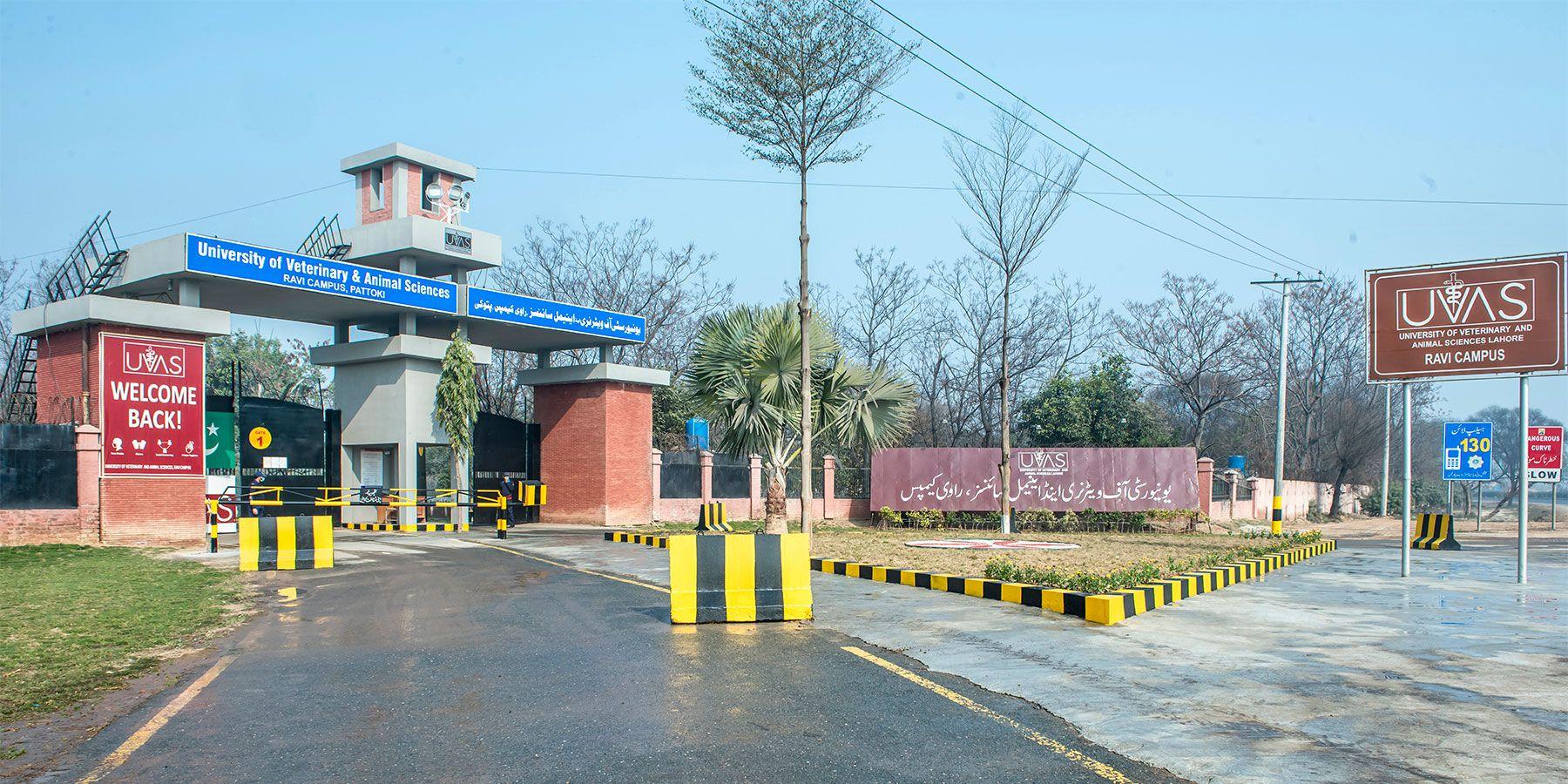 campus