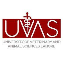 university logo